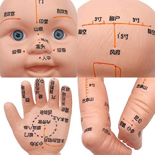 ZHONGJIUYUAN ZHONGJIUYUAN Acupoint and Trigger Point Babies Mannequin children Model 20inch Child Massage Study