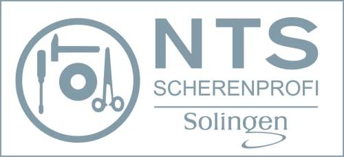 Amelia Beauty Products NTS Solingen 725-6.0, Ergo Silver Star Thinning Shear - Size 6.0"