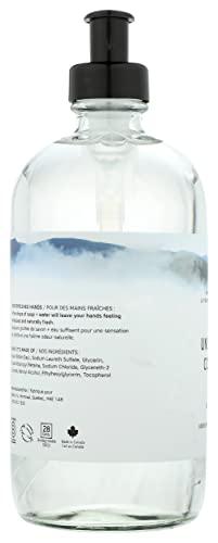 The Unscented Company The Unscented Company Unscented Liquid Hand Soap, 16.9 FZ