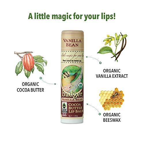 Badger Badger - Cocoa Butter Lip Balm, Creamy Cocoa, Certified Organic Lip Balm, Fair Trade, Natural Lip Balm, Lip Butter, Lip Balm Cocoa Butter, Cocoa Care Lip Balm, 0.25 oz