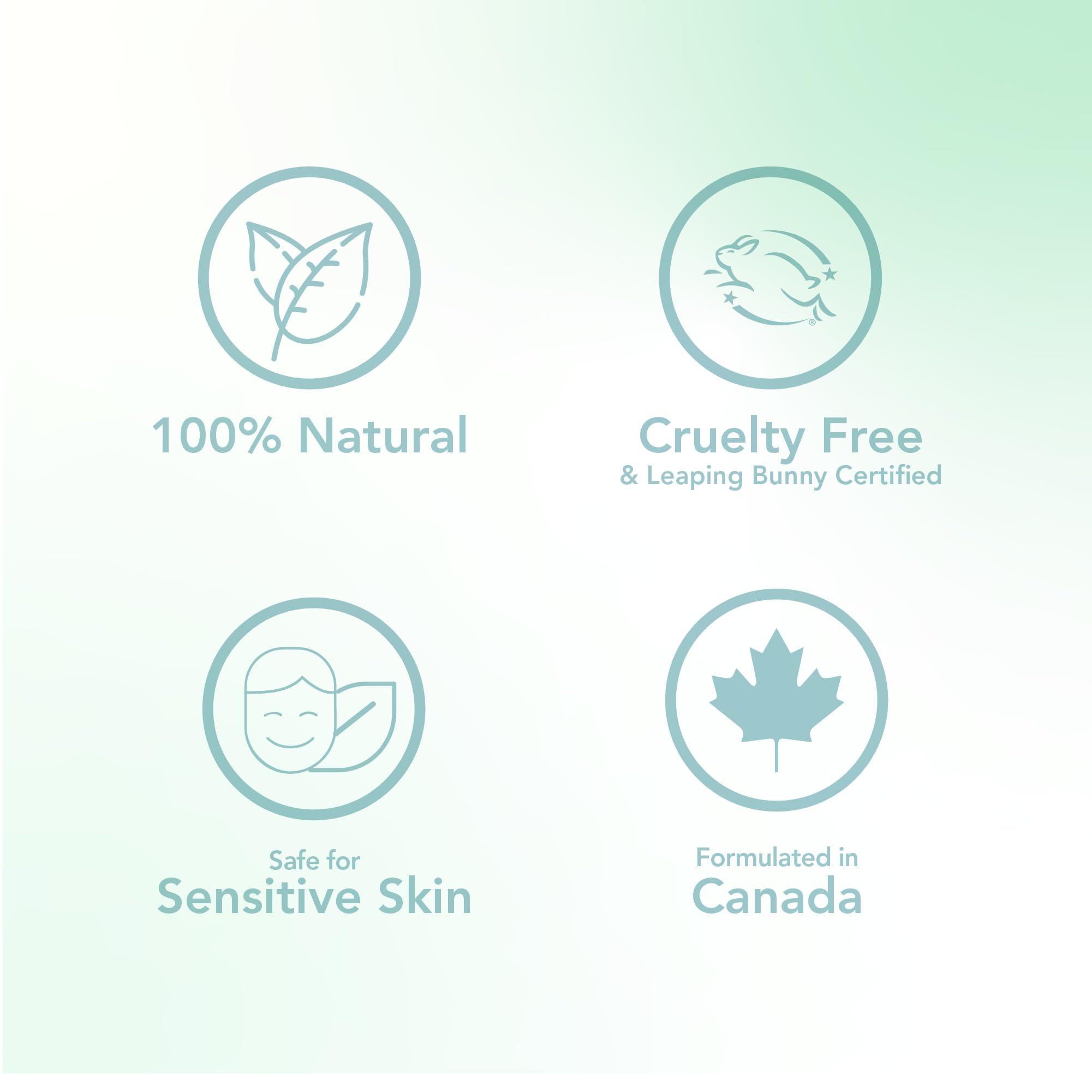 Scentuals Hand Cream with Rosemary & Mint Essential Oil, Shea Butter, Cocoa Butter, Argan & Almond oil, Vitamin E and Aloe Vera, for Moisturizing Dry Hands, Cruelty Free, Natural Skin Care, 100 ml, 3.4 fl.oz