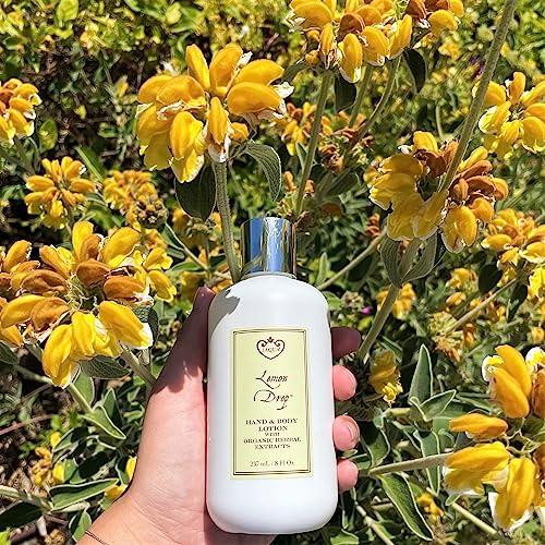 Jaqua Jaqua Luscious Hand and Body Lotion with Organic Herbal Extracts - Lemon Drop