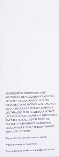 Susan Ciminelli Susan Ciminelli Cleansing Milk, 8 Fl Oz