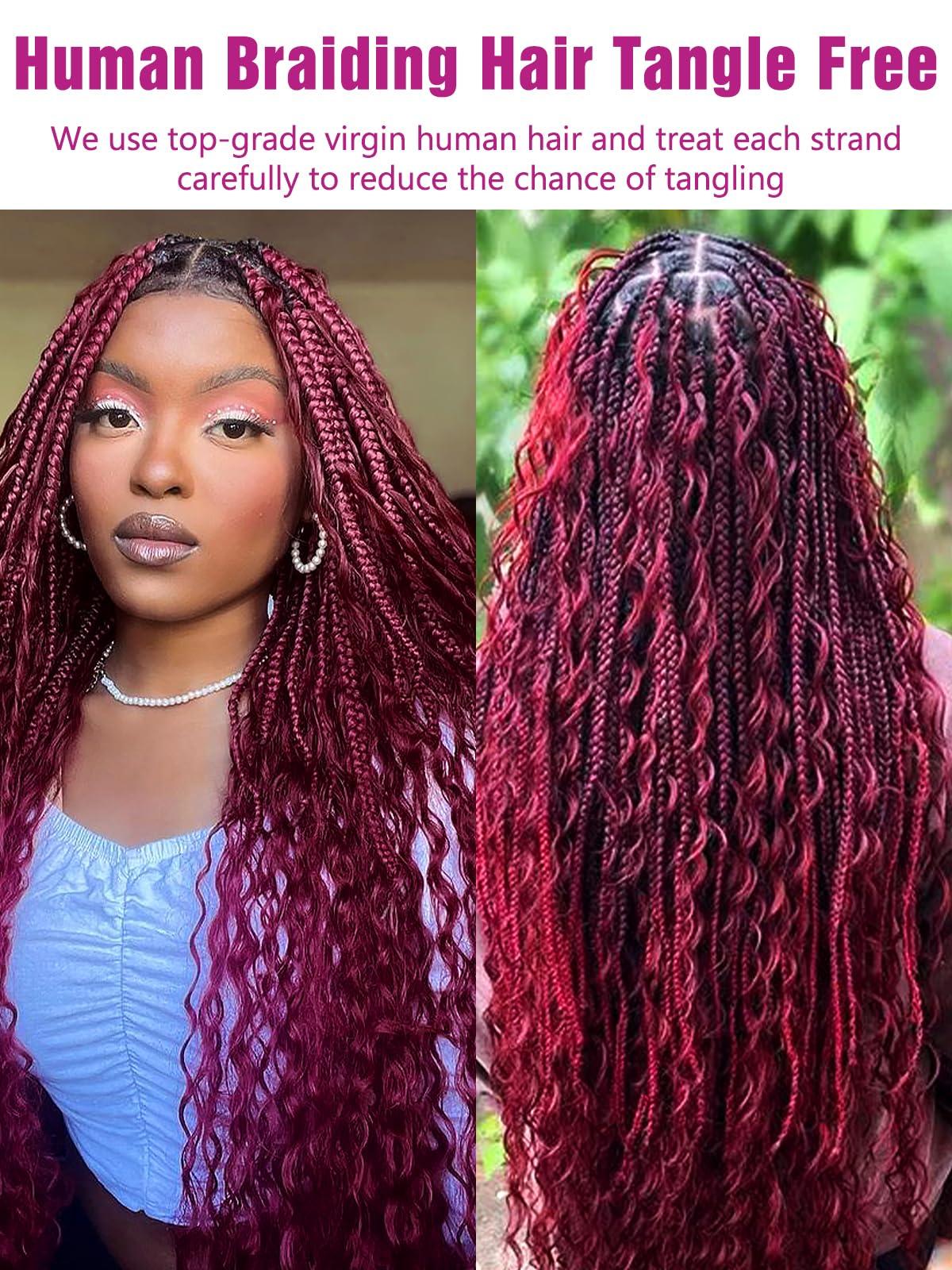 CLong 99J Burgundy Human Braiding Hair Deep Wave Bulk Human Hair for Braiding, No Weft Curly Braiding Hair Extensions for Boho Braids Wet and Wavy Braiding Human Hair Bundles(22inch,99j,100g)