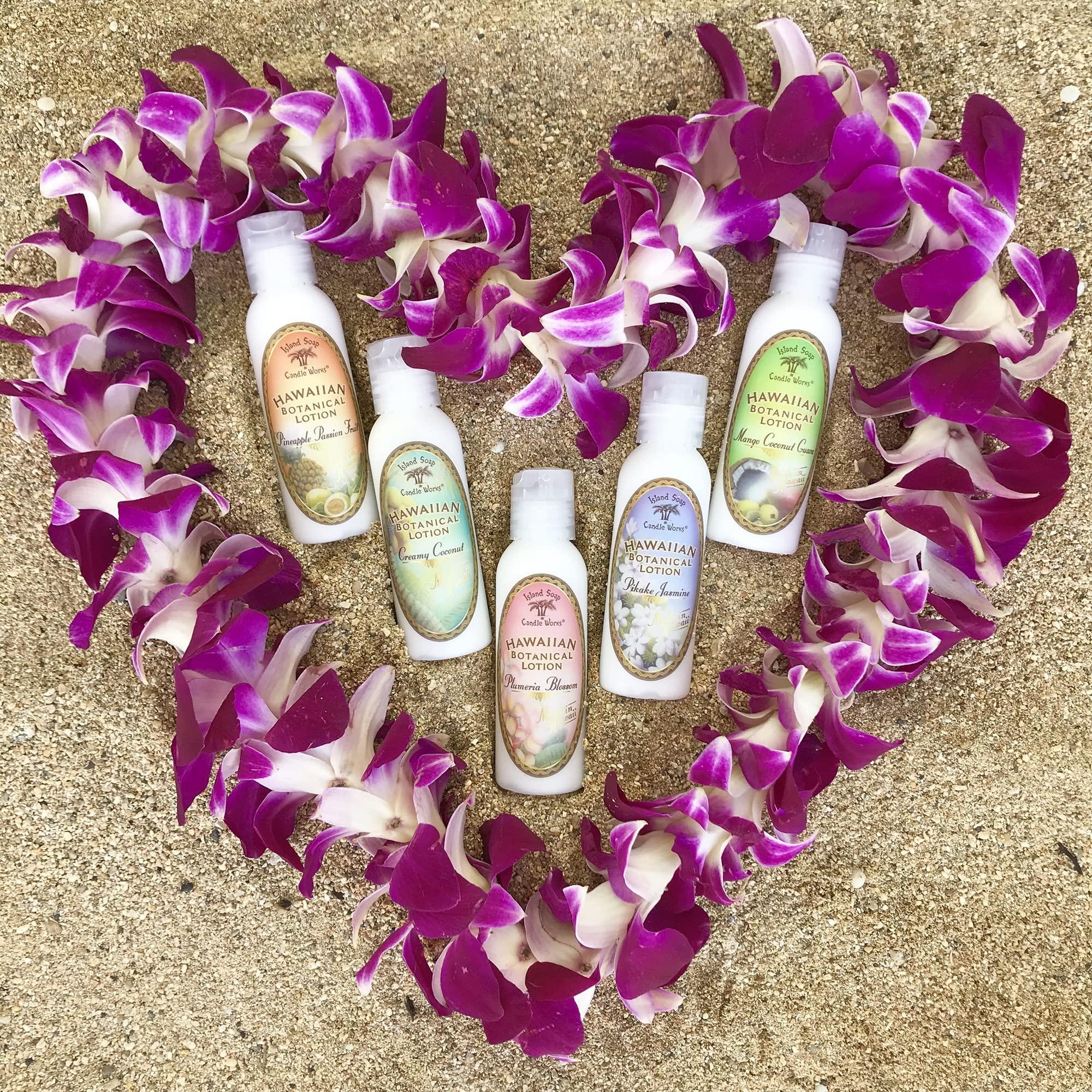 Island Soap & Candle Works Island Soap and Candle Works Botanical Coconut Scented Body Lotion for Men and Women - Paraben Free Body Moisturizer - Hydrating Hawaiian Skincare - Creamy Coconut - 8.5 Fl Oz. Bottle