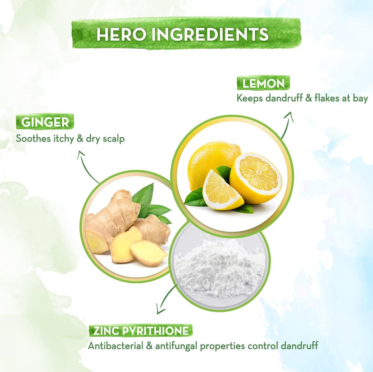 MAMAEARTH MAMAEARTH Lemon Anti Dandruff Shampoo for Itchy & Flaky Scalp | with Ginger to Gently Cleanse Build Up, Dirt & Excess Oil | for Healthy & Itch-Free Scalp | 8.45 Fl Oz (250ml)