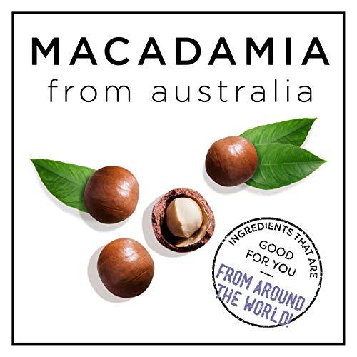 HASK HASK Macadamia Oil Moisturizing Shampoo, Coconut, 12 Ounce