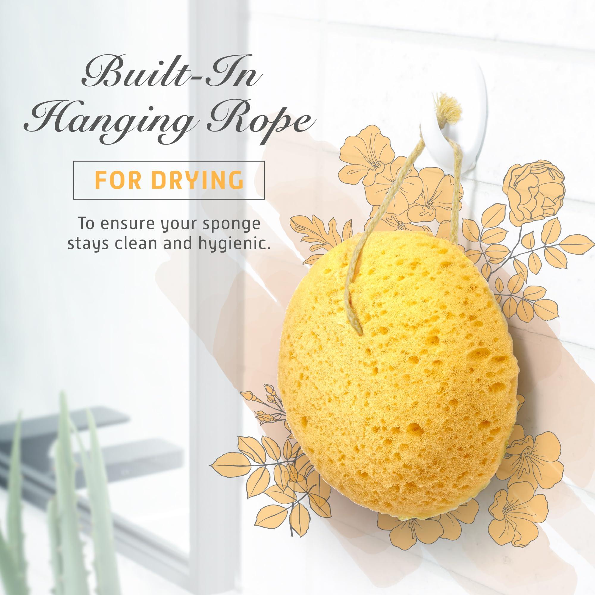 Sunlite Sports Spongentle Deep Cleansing Body Loofah Sponge, for Bath and Shower Loofah with Suction Cup, Multiple Textures for Gentle and Deep Exfoliation, with Nature Color, Generous and Rich Lather (Pack of 2)