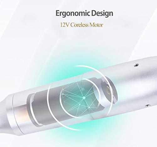 BIOMASER Permanent Makeup Automatic Tatto Pen Professional Electric Tattoo Machine Swiss Motor Permanent Makeup Tattoo for Eyebrow and Lips …