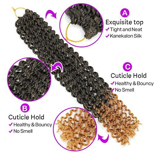 Rainish Passion Twist Hair 24 Inch Pre-looped Passion Twist Crochet Hair 9 Packs Pre-twisted Water Wave Crochet Braids Butterfly Locs Long Bohemian Braiding Hair Extensions (24 Inch, (Pack of 9), T1B/27)