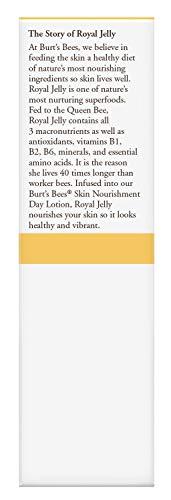 Burt's Bees Burt's Bees Skin Nourishment Day Lotion with SPF 15 for Normal to Combination Skin, 2 Oz (Package May Vary)