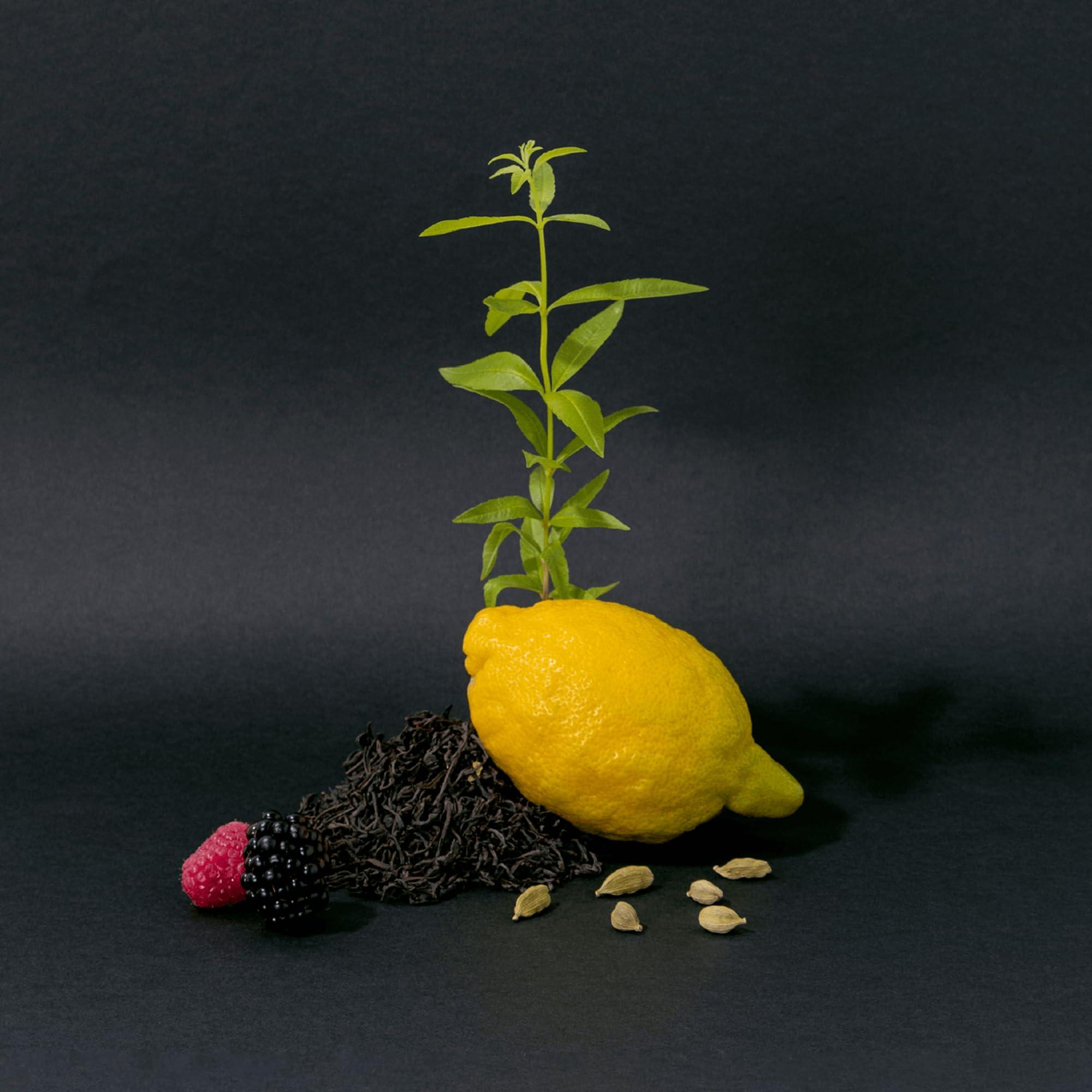 La Compagnie de Provence Compagnie de Provence Savon de Marseille Extra Pure Liquid Soap, Black Tea, 101.4 Fl Oz Eco Refill