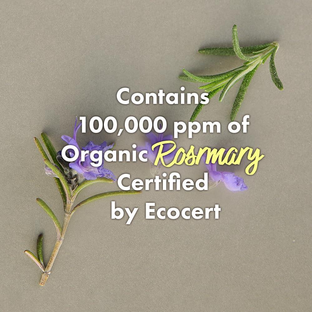 RATED GREEN RATED GREEN Cold Brew Rosemary Balancing Scalp Pack w/ Charcoal | Korean Hair Conditioning Mask | Deep Conditioning Hair Mask for Dry Damaged Hair | Hydrating Hair Mask Pack of 5, 1.69 Fl. Oz