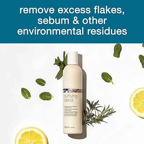 milk_shake milk_shake Purifying Blend Shampoo - Flaky and Itchy Scalp Shampoo for Women and Men SLS/SLES and Paraben Free