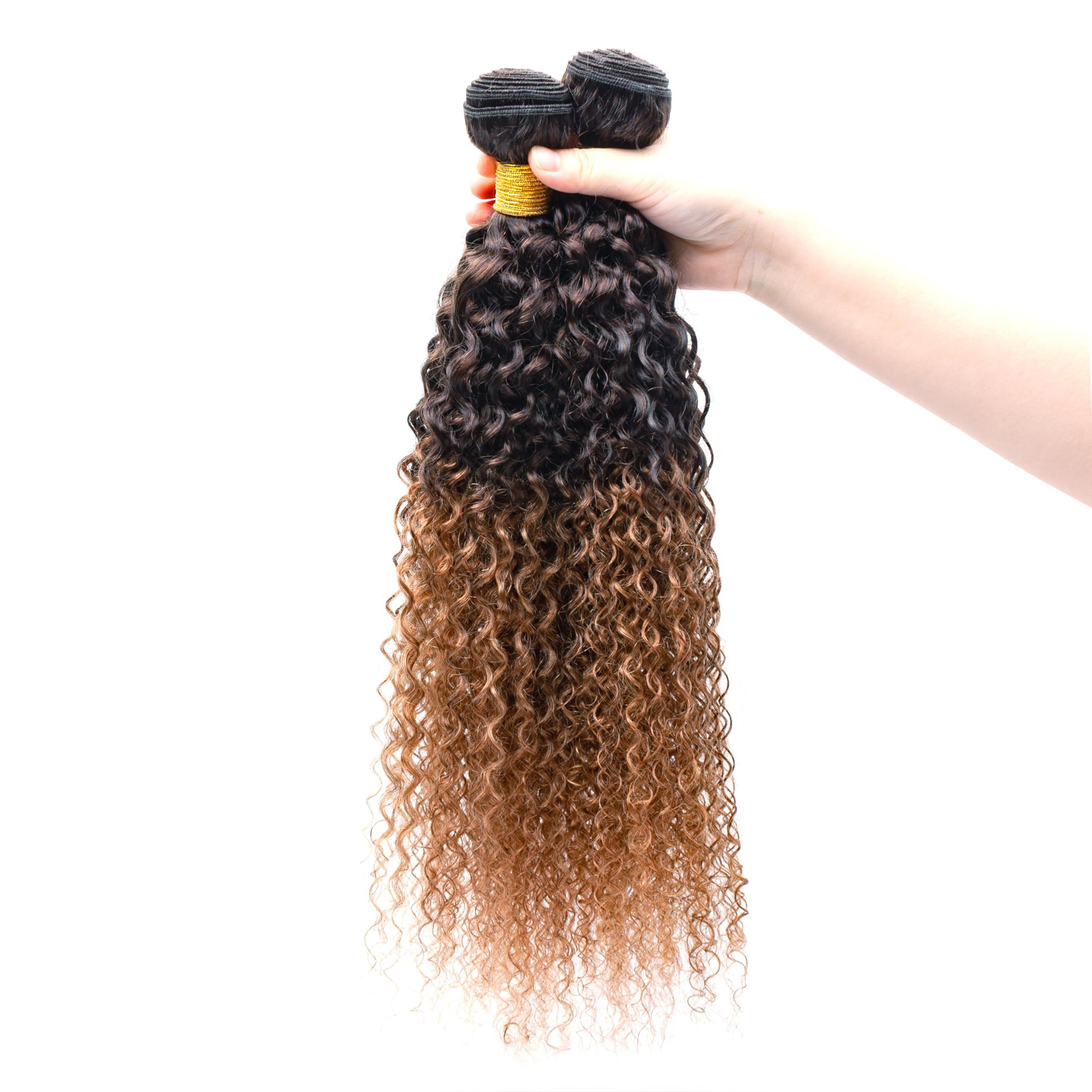 FASHION VILA Curly Bundles Human Hair 2 Tone Ombre Brazilian Virgin Hair 3 Bundles Human Hair Weave Bundles 100% Unprocessed Kinky Curly Human Hair Extensions T4/30 Medium Brown/Medium Auburn(22 24 26)