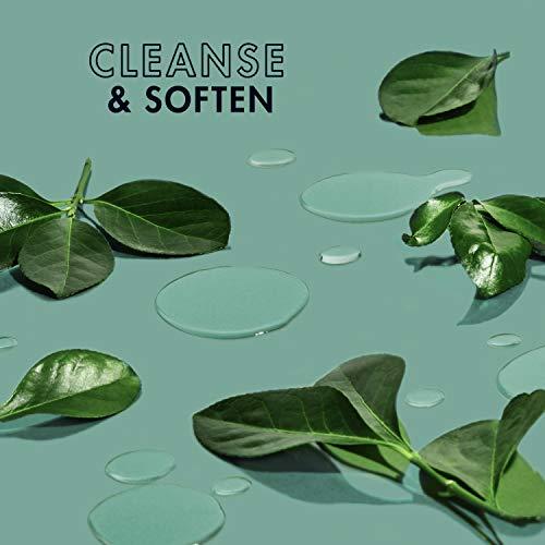 SheaMoisture SheaMoisture Residue Remover Shampoo for Synthetic and Natural Hair, Tea Tree and Borage Seed, Sulfate Free Clarifying Shampoo, 13 Ounce