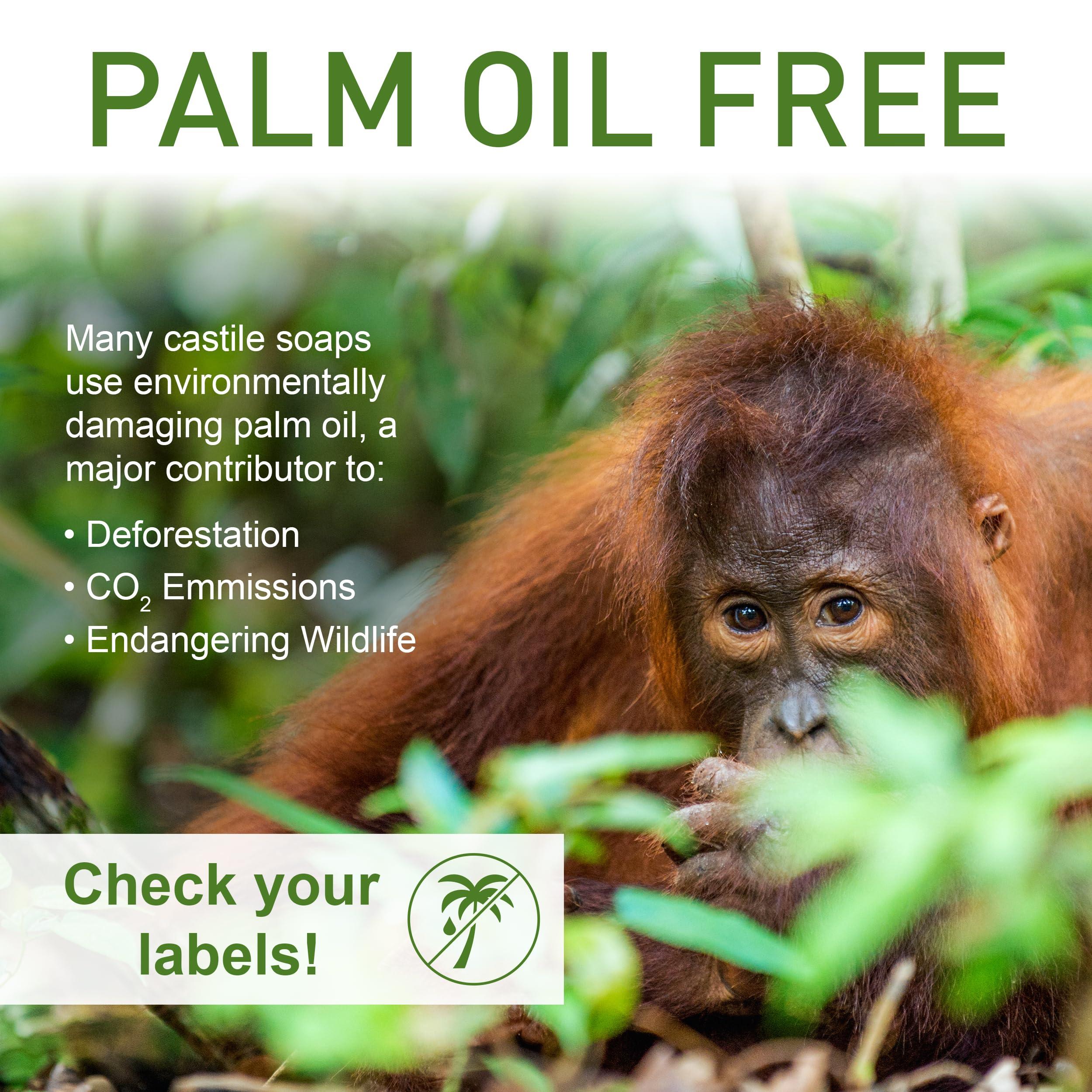 Seven Minerals Pure Castile Soap - No Palm Oil, GMO-Free - Gentle Liquid Soap For Sensitive Skin & Baby Wash - All Natural Vegan Formula with Organic Carrier Oils (64 FL Oz, An Unscented)