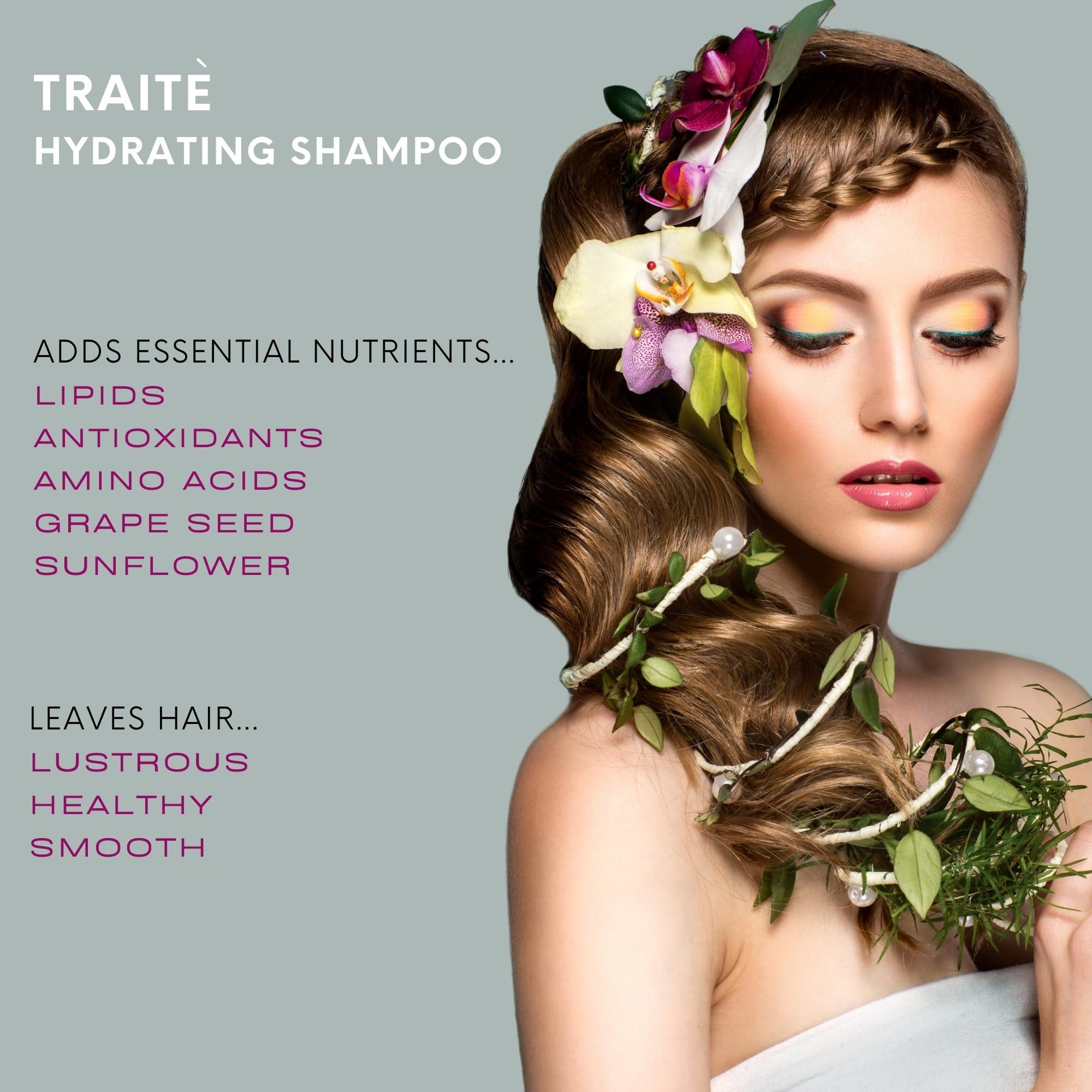 Mastey Mastey Paris Professional Cream Hair Care, Sulfate Free, Lipid & Amino Acid Fortified, with UV Blocking Antioxidants - 33 fl oz (Shampoo-2 Count)