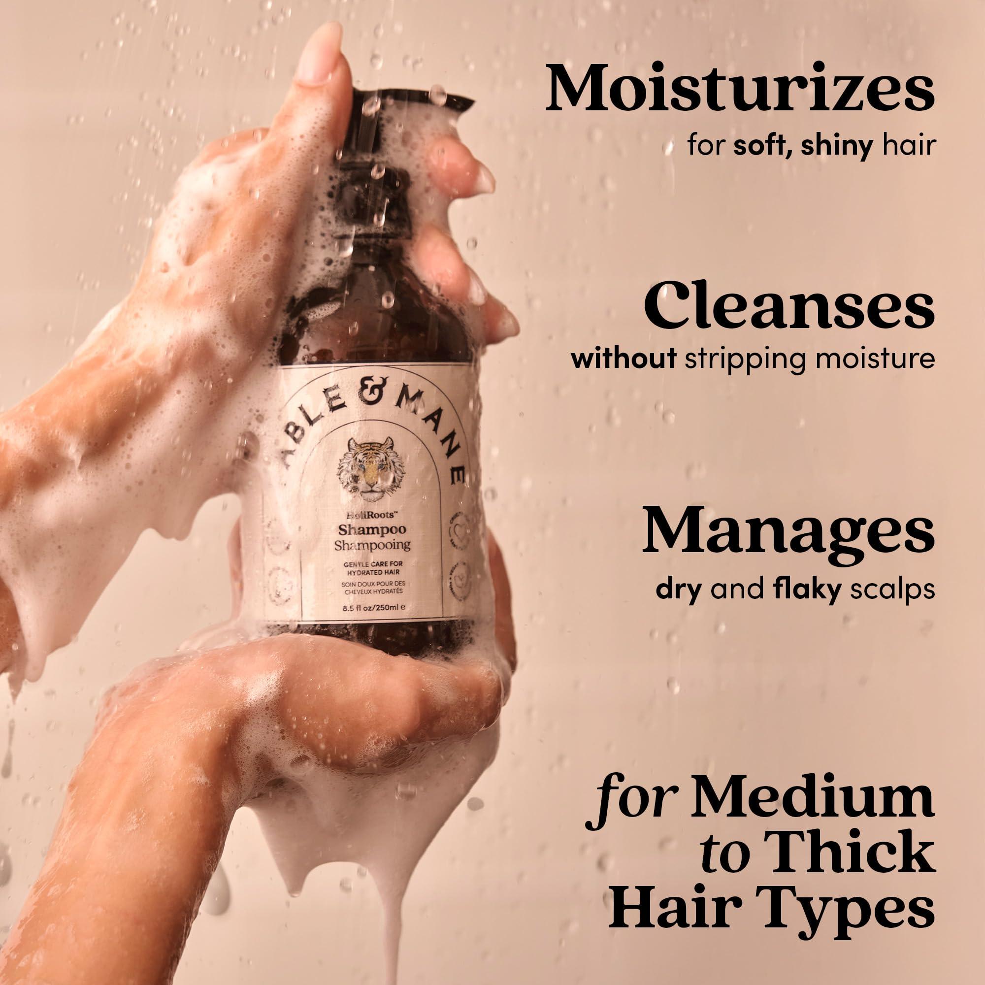 Fable & Mane Fable & Mane Hydrating Shampoo, Moisturises and Cleanses Dry, Damaged Hair with Aloe Vera and Coconut Oil. For Medium to Thick Hair Types