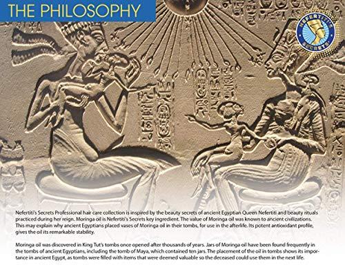 Nefertiti's Secrets Nefertiti's Secrets All In One Leave-In Treatment, Moringa Oil & Rosemary Hair Conditioner, Strengthen & Stimulates, Heat Protection Spray For Hair Growth, Travel Size Moisturizer - 8 Oz / 236 ml