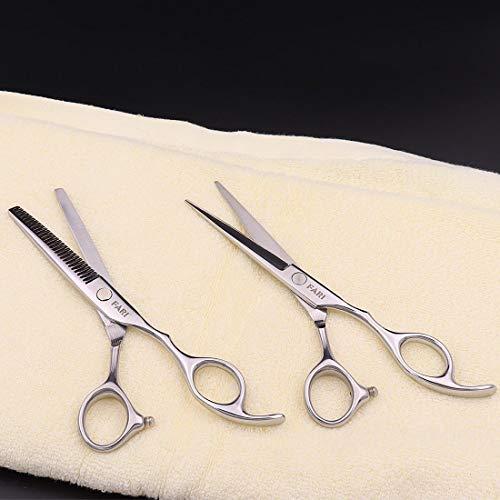 FARI FARI Hair Cutting Scissors Kit, Barber Haircut Thinning Scissors Hairdressing Shears for Salon and Home (Silver)