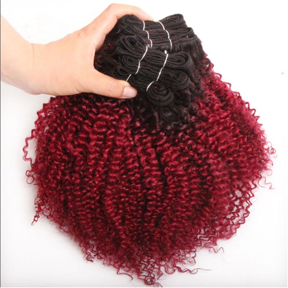 Kiss darling LASHES Afro Kinky Curly Clip in Hair Extensions Remy Brazilian Human Hair 4B4C for Women Two Tone T#1B/burg Kinky Curly Clip Ins Human Hair Extensions 26\"inch 120g