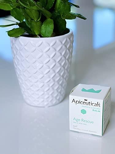 Midwest Sea Salt Company Exfoliating Dead Sea Salt Scrub - 128oz - Rose Absolute