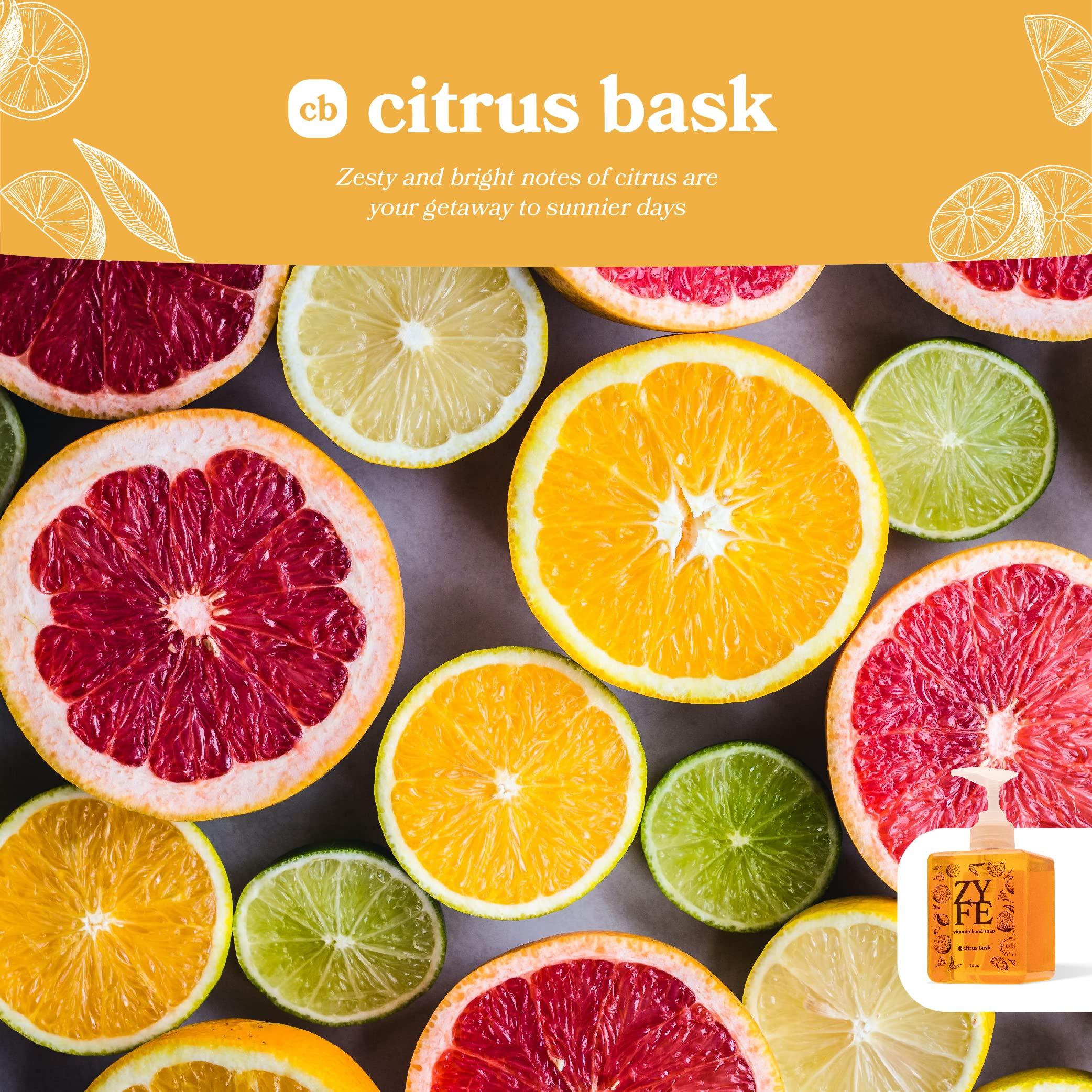 ZYFE ZYFE Eco Friendly Hand Soap Refills Family Pack - Pland Dervied Liquid Handsoap With 5x Vitamins - 2 12oz Pump Dispenser Bottles and 1 64oz Refill - Citrus