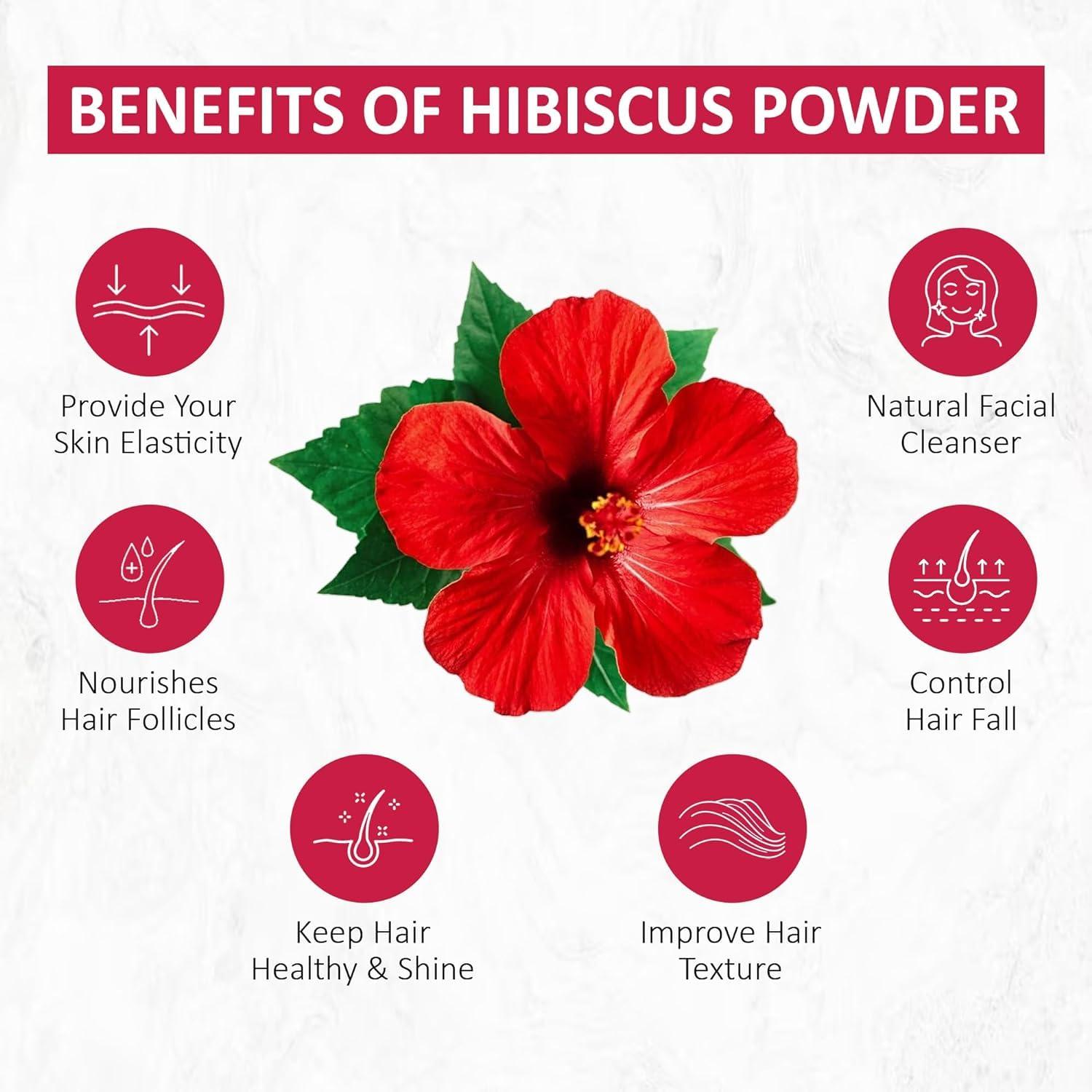 Generic Hibiscus Flower Powder for Face Pack & Hair Mask | Pure & Natural Hibiscus Rosa Sinensis Powder For Skin & Hair Care - 100g