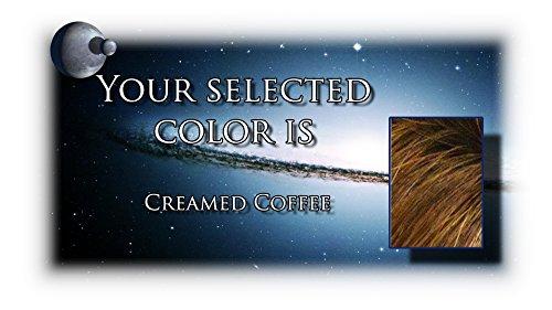 Gucci Shari Large by Envy Wigs, Color Chosen: Creamed Coffee