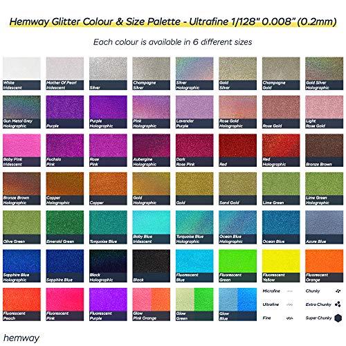 Hemway Hemway Eco Friendly Ultra Sparkle Glitter 100g / 3.5oz - Biodegradable Vegan Cosmetic Safe for Craft Face Hair Nail and Festival Makeup - Ultrafine (1/128" 0.008" 0.2mm) - Gun Metal Grey Holographic