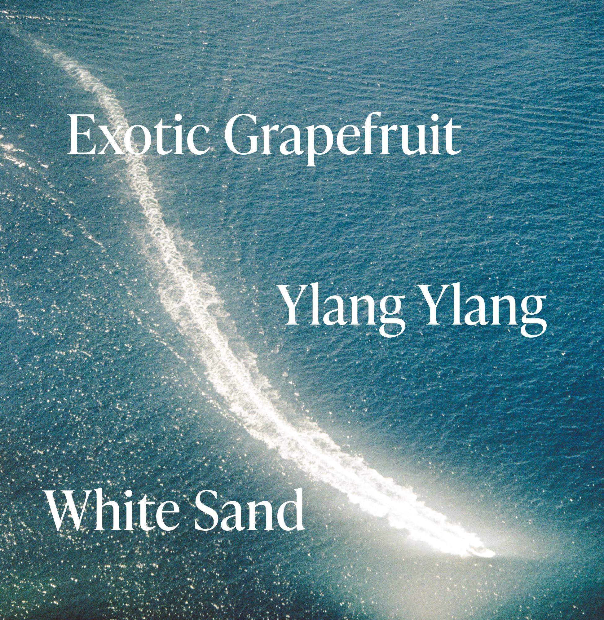 Saltair Saltair - Body Wash (Seascape) (Pack of 1), 17.0 Fl Oz