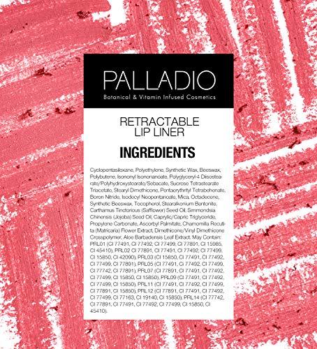 Palladio Palladio, Retractable Waterproof Lip Liner High Pigmented and Creamy Color Slim Twist Up Smudge Proof Formula with Long Lasting All Day Wear No Sharpener Required, Raspberry, 1 Count