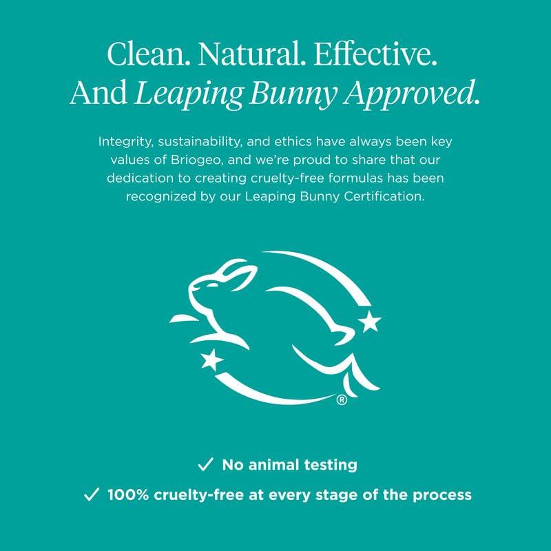 Briogeo Briogeo Don't Despair, Repair! Rich Rice Shampoo Concentrate, Protein Shampoo for Severely Damaged Hair, Water-Activated Concentrate Shampoo, Vegan, Cruelty-Free, 3 fl oz