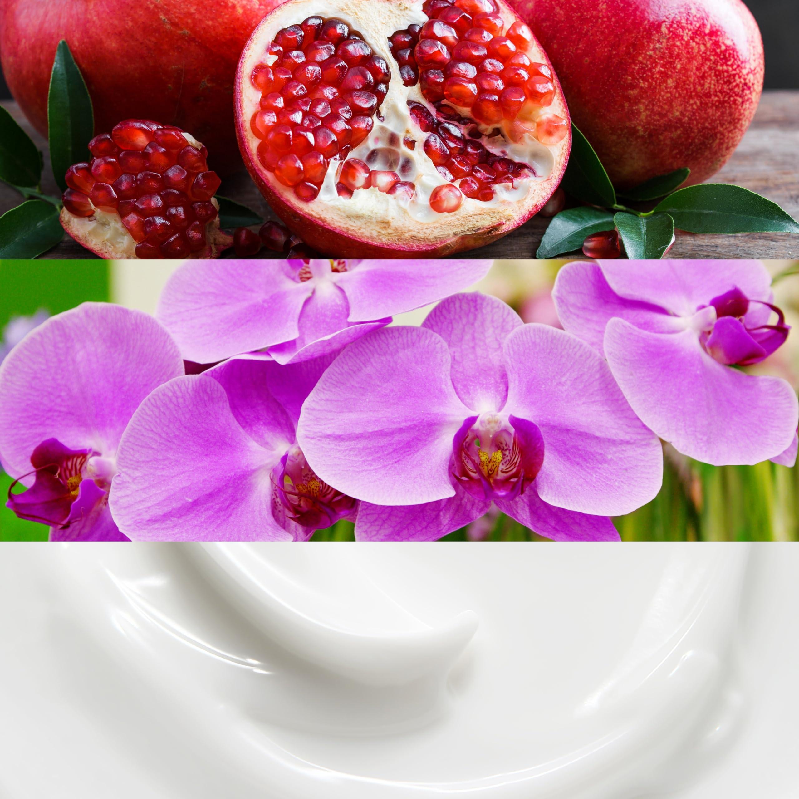 Calvin Klein Calvin Klein Euphoria Body Lotion With Notes of Pomegranate, Black Orchid, Lotus Blossom & Mahogany Wood 6.7 fl oz.