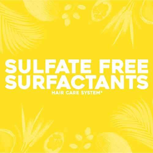 OGX OGX Purifying + Charcoal Detox Dry Shampoo Spray with Activated Charcoal & Kaolin Clay for Fresh Full Hair, Dry Shampoo to Absorb Excess Oil & Revive Dull Second-Day Hair, 5 Ounce