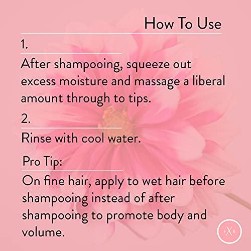 Strength x Beauty Strength x Beauty - Luminous Glossing Conditioner - Moisturizing Instant Detangler for Shine & Volume - Vegan Paraben-Free Formula w/Keravis PE (8.4 oz. salon size)