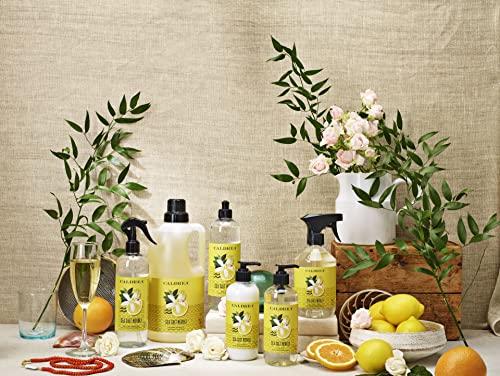 Caldrea Caldrea Hand Wash Soap, Aloe Vera Gel, Olive Oil and Essential Oils to Cleanse and Condition, Sea Salt Neroli Scent, 10.8 oz