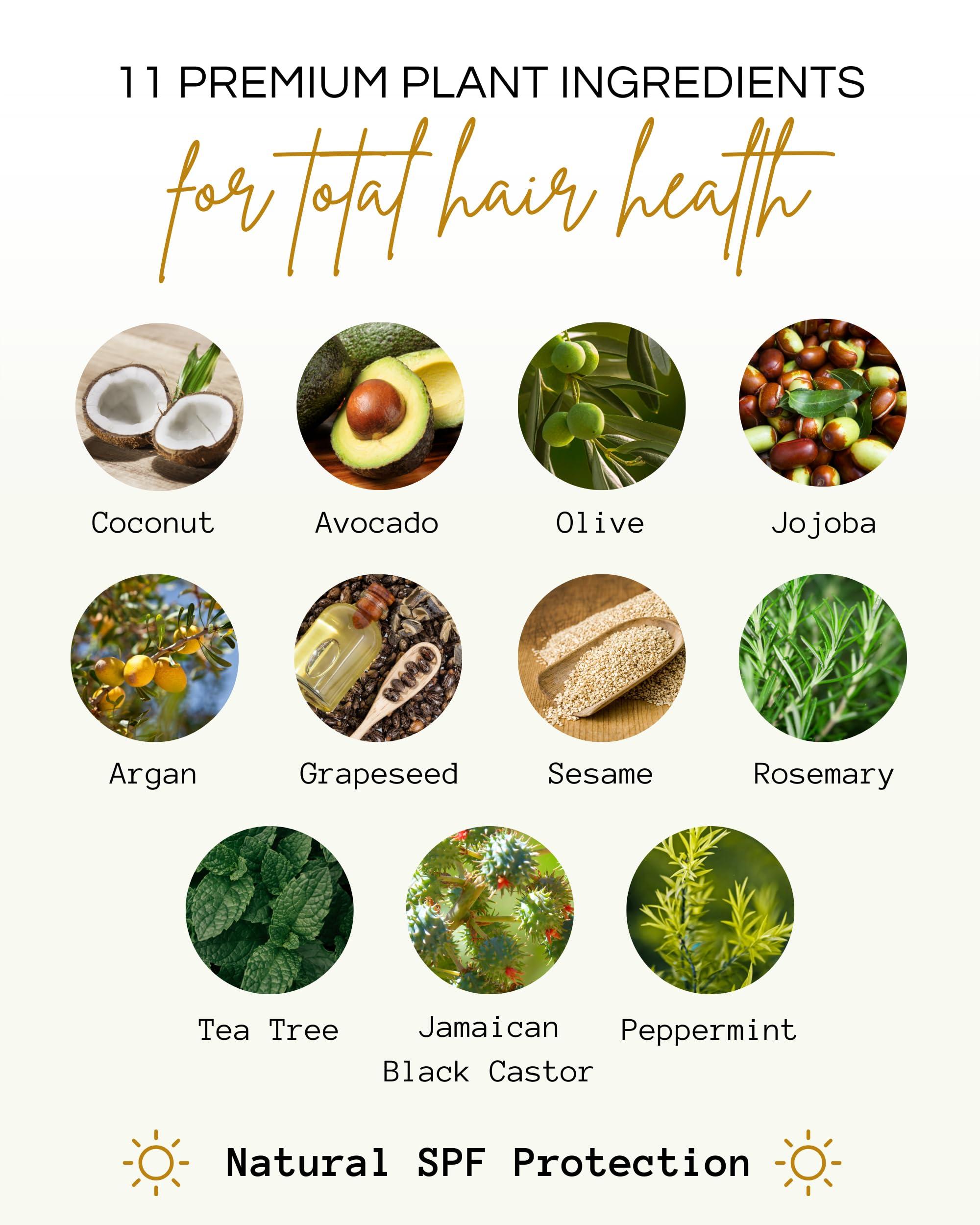 Righteous Roots Righteous Roots Rx Hair Oil for Hair Growth, Anti Frizz and Thickener Best for Curly, Wavy Natural Hair and Beards. 4fl oz (Previously known as Hair RX)