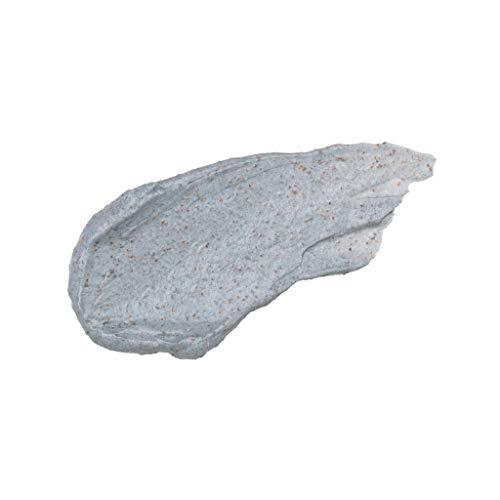 Pacifica Pacifica Underarm Body Scrub - Detox Coconut & Charcoal  Exfoliating & Nourishing for Natural Deodorant Users  Aluminum-Free & Safe for Sensitive Skin, Vegan & Cruelty-Free, 7 fl oz