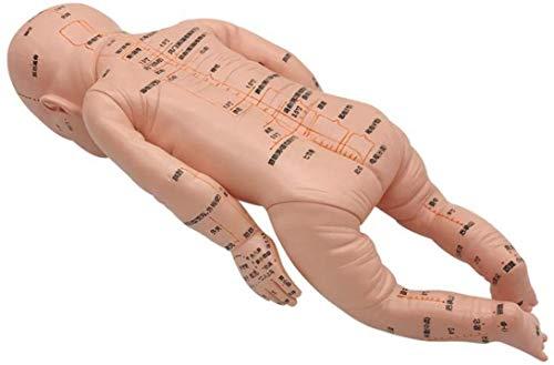ZHONGJIUYUAN ZHONGJIUYUAN Acupoint and Trigger Point Babies Mannequin children Model 20inch Child Massage Study