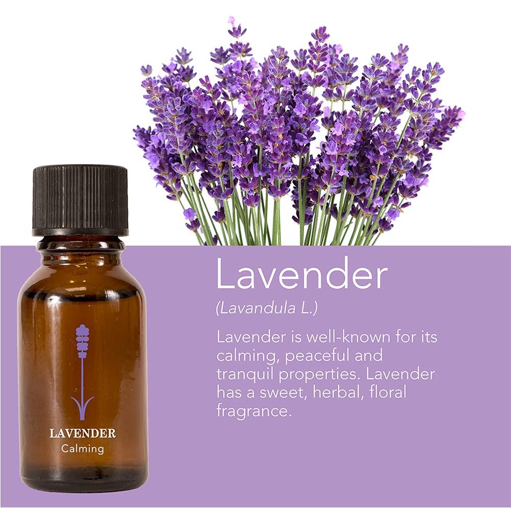 Cala Cala Black croc hair clips 4 count, 4 Count