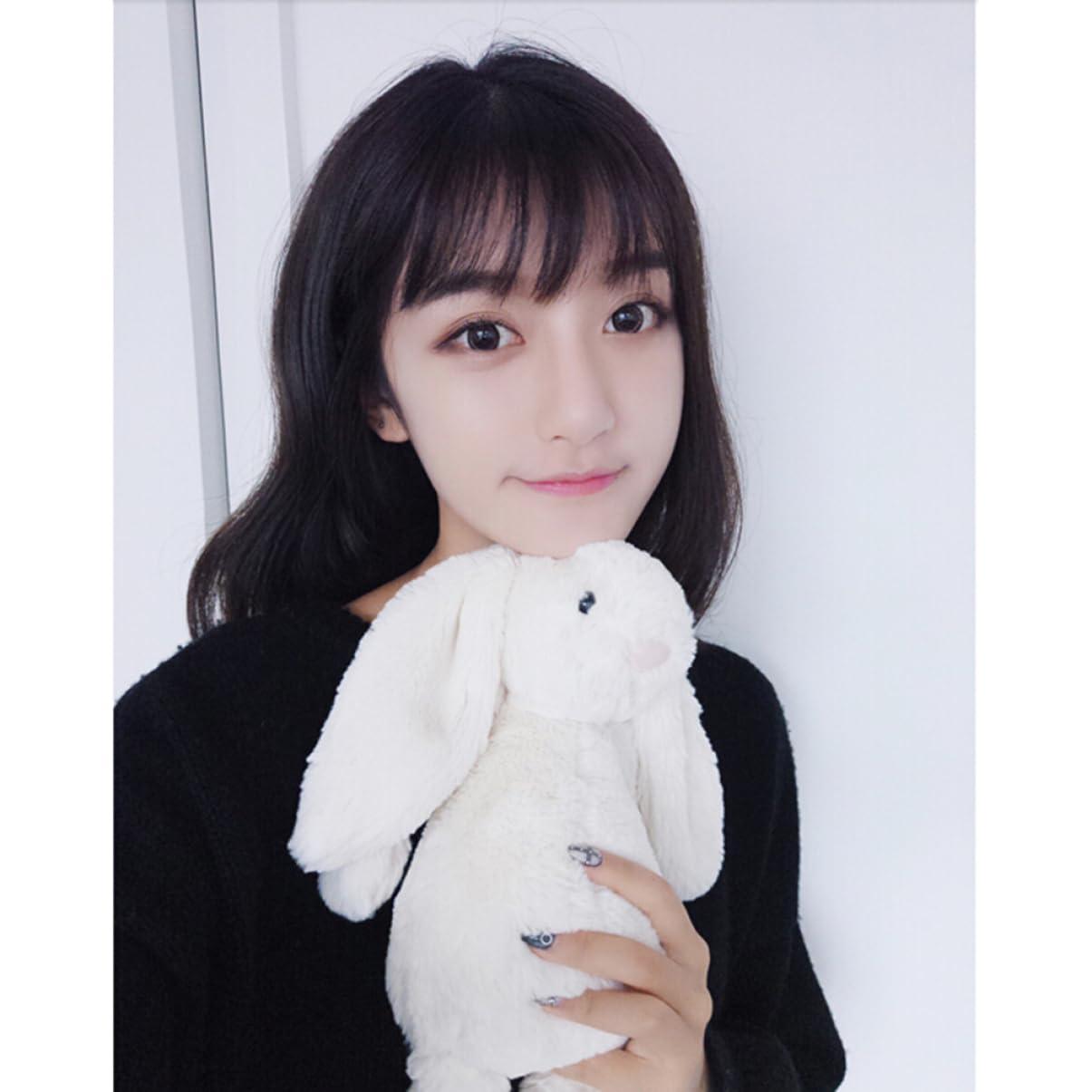 Beavorty Beavorty 2pcs Piece Fake Hair Bangs Black Hair Clip Mini Clips for Hair Clip in Bangs Real Human Hair Bangs Hair Clip Bangs Clip in Hair Extensions Clip in Hair Bangs Wig