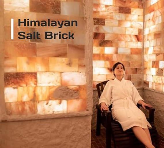 Adeeb Int Natural Himalayan Salt Bricks 8x4x2- for Building Spa, Sauna | Himalayan Pink Salt Block for Home Dcor and Salt Wall | Pack of 6 Bulk Salt Brick