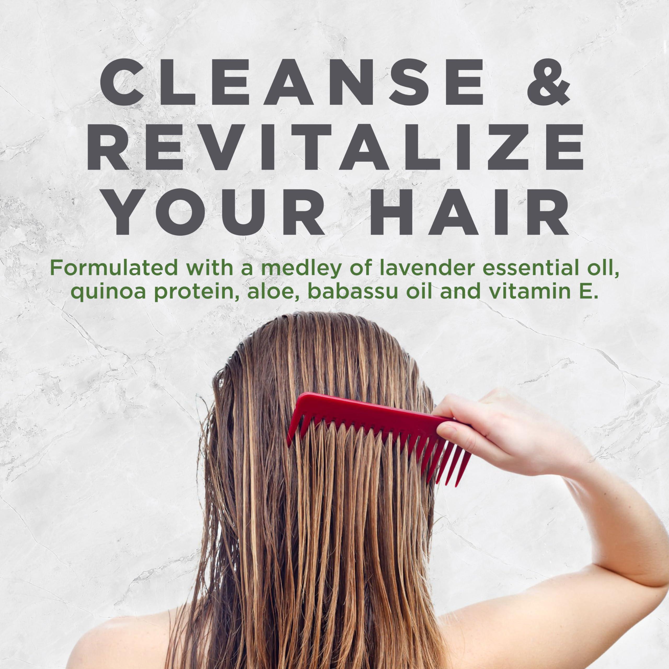 Avalon Organics Avalon Organics Revitalizing Lavender Shampoo, For Smooth, Shiny, Touchably Soft Hair For Normal To Dry Hair, 11 Fluid Ounces