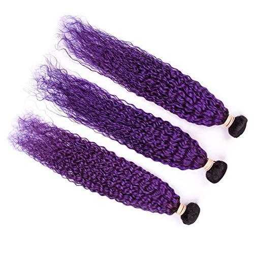 Tony beauty hair Tony Beauty Hair #1B/Purple Ombre Curly Human Hair Bundles Deals 3Pcs Lot Jerry Curly Ombre Purple Brazilian Human Hair Weave Extensions Dark Roots Double Wefts 10-30" Mixed Length (26 28 28)