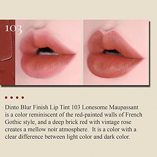 Dinto Dinto Blur Finish Lip Tint 11 Types | High-Pigmentation, Lightweight, Soft, Moisturizing (103 Lonesome Maupassant)
