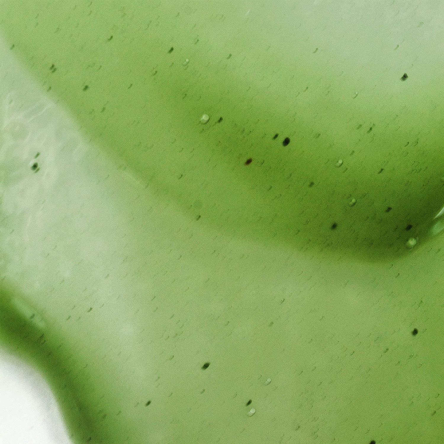 BioClarity bioClarity Restore, Gel-Based Serum | 100% Vegan, Clean Ingredients | Contains Floralux Naturally made from Chlorophyll (1 Fl Oz)