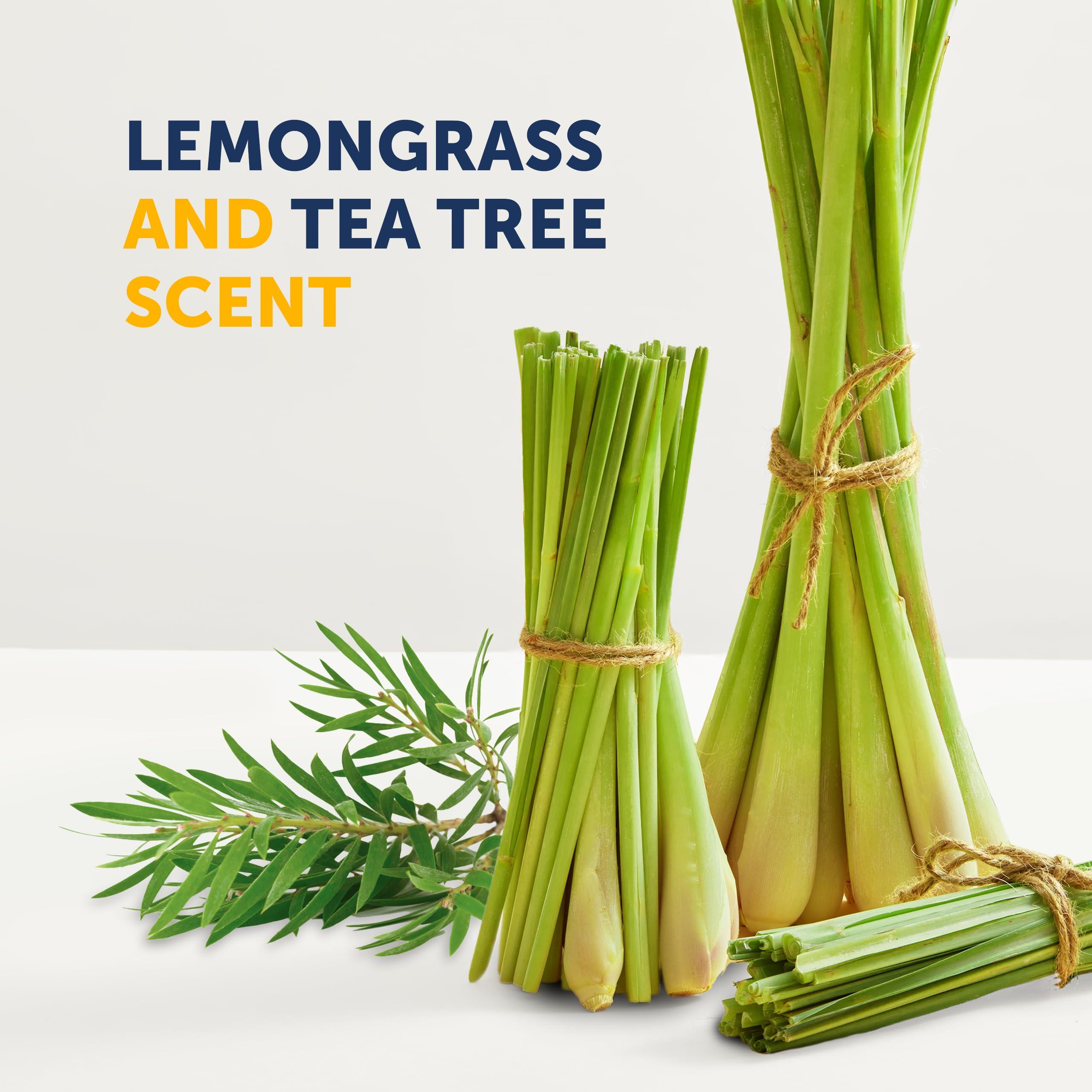 Truremedy Naturals Truremedy Naturals Tea Tree Oil and Lemongrass Body Wash - Body Wash and Helps Skin Irritations - Tea Tree and Lemongrass Soap Body Wash (1 pk, 12 oz)