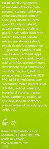 B. Kamins B. Kamins Corrective Mattifier, 1.7 Ounce